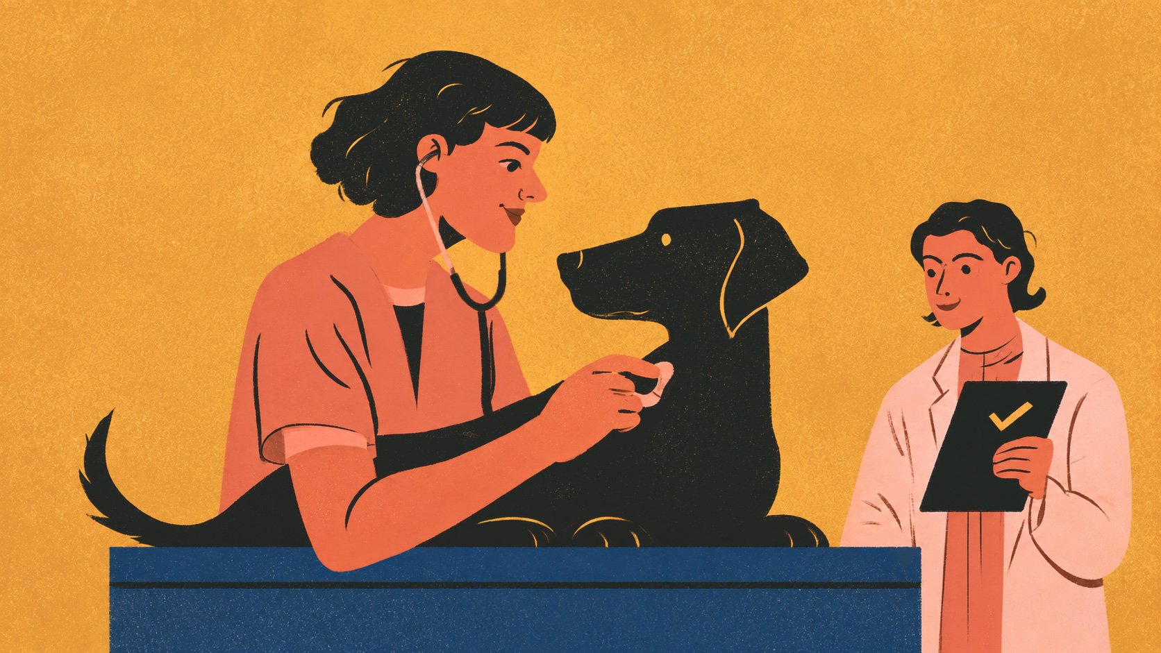 A veterinary technician listens to a black dog's heartbeat with a stethoscope while another veterinary professional observes with a clipboard, representing workplace-based clinical skill assessment and supervision.
